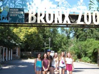 Bronx Zoo (1)